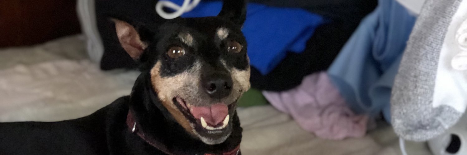 Terrence Bellamy banner