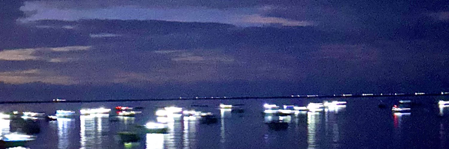 RajeshSilvoj's profile banner image