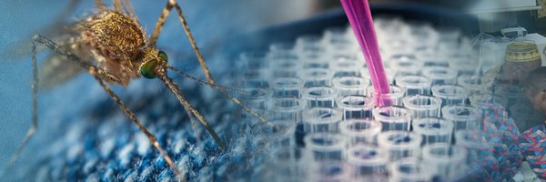 CREID_Network Profile Banner