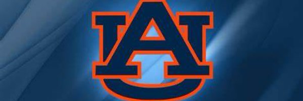 NoahFalcon3 Profile Banner