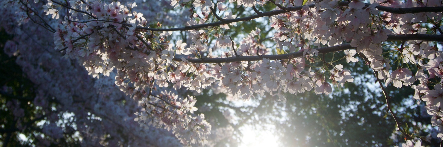 Barbara Rozgonyi~AI+PR Strategy~Keynote Speaker banner