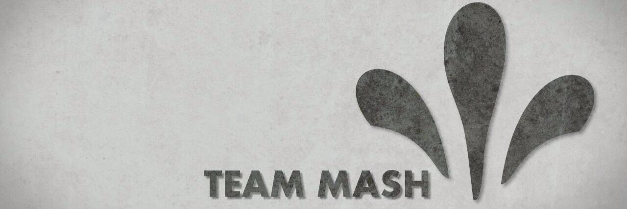 Team Mash banner