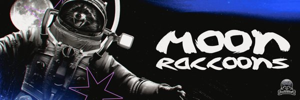 Moon Raccoons Profile Banner