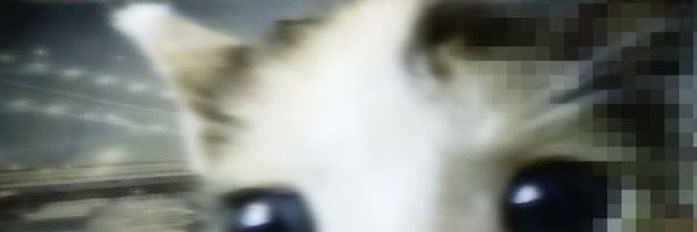 ths1rep's profile banner image