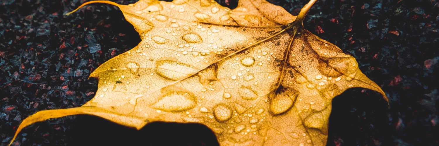 DeDawn68's profile banner image