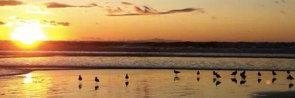 baclash34 Profile Banner