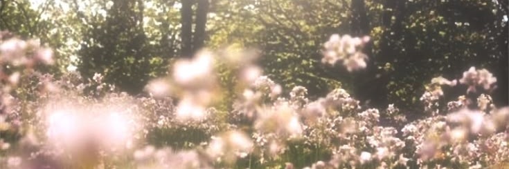 HwanSoe's profile banner image