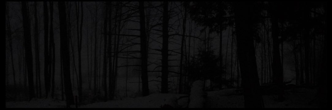 cottage_goth banner