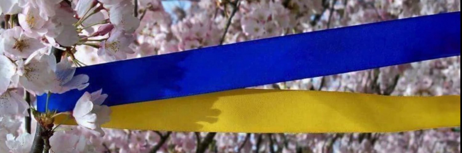 ambre 🌷's banner