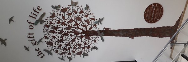 BradfordOrgDon Profile Banner