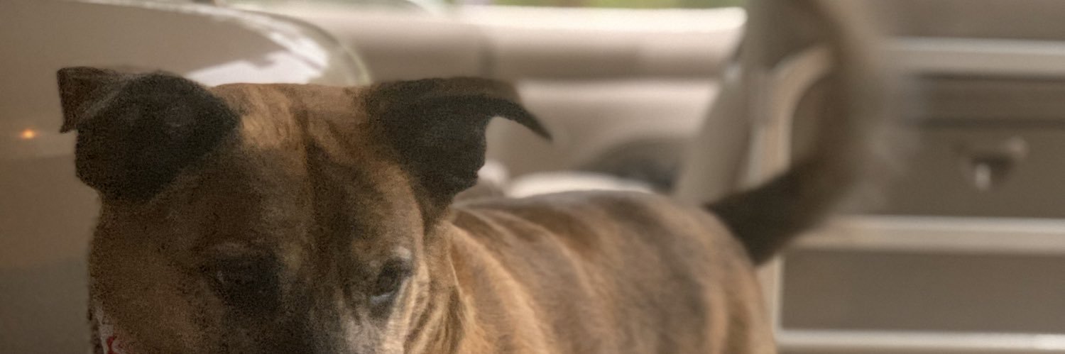 bignutbuster201's profile banner image
