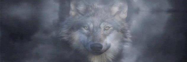 Hillbilly766's profile banner image