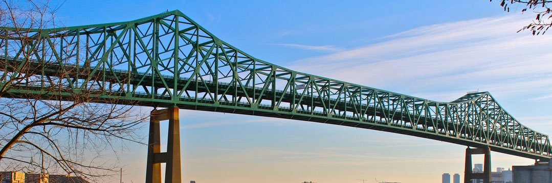 Western Front banner