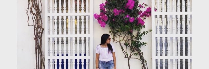 ailuavalos's profile banner image
