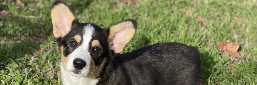 geeawhknee's profile banner image
