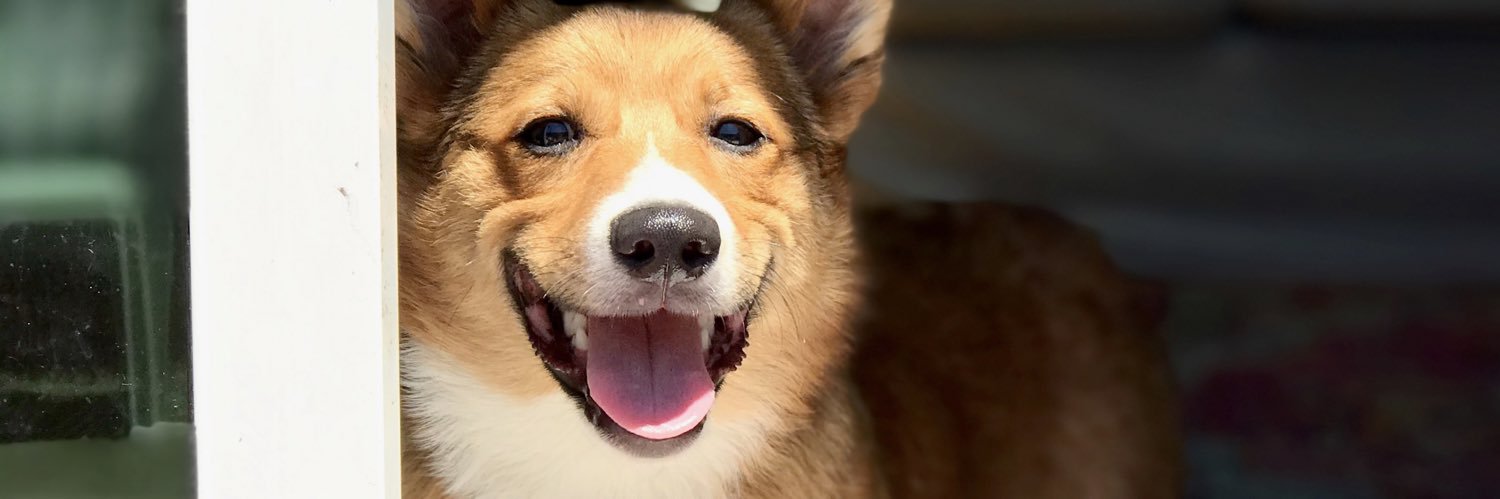 kimeebrooke's profile banner image