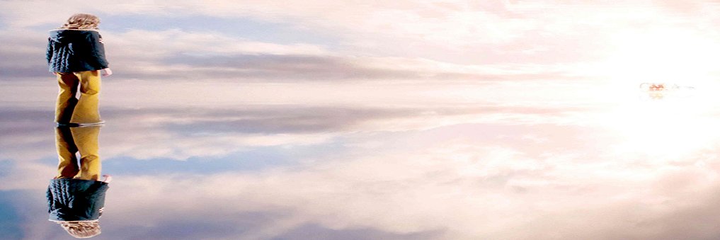 Maki-Donec banner