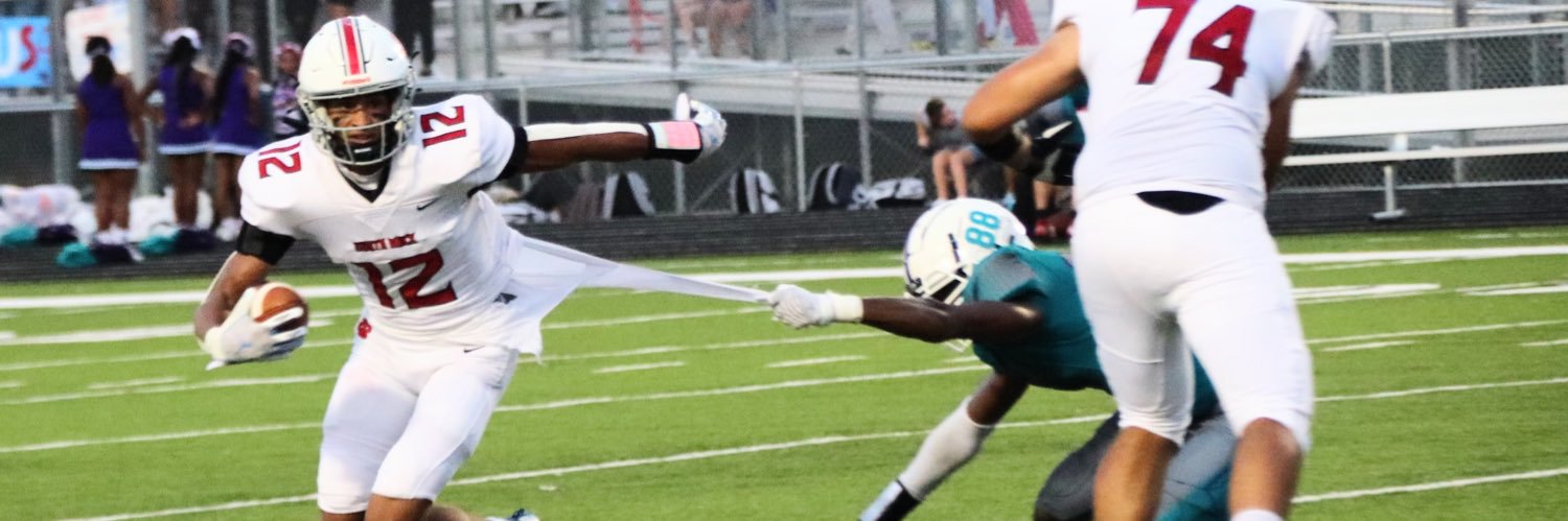 Michael Nesbit banner