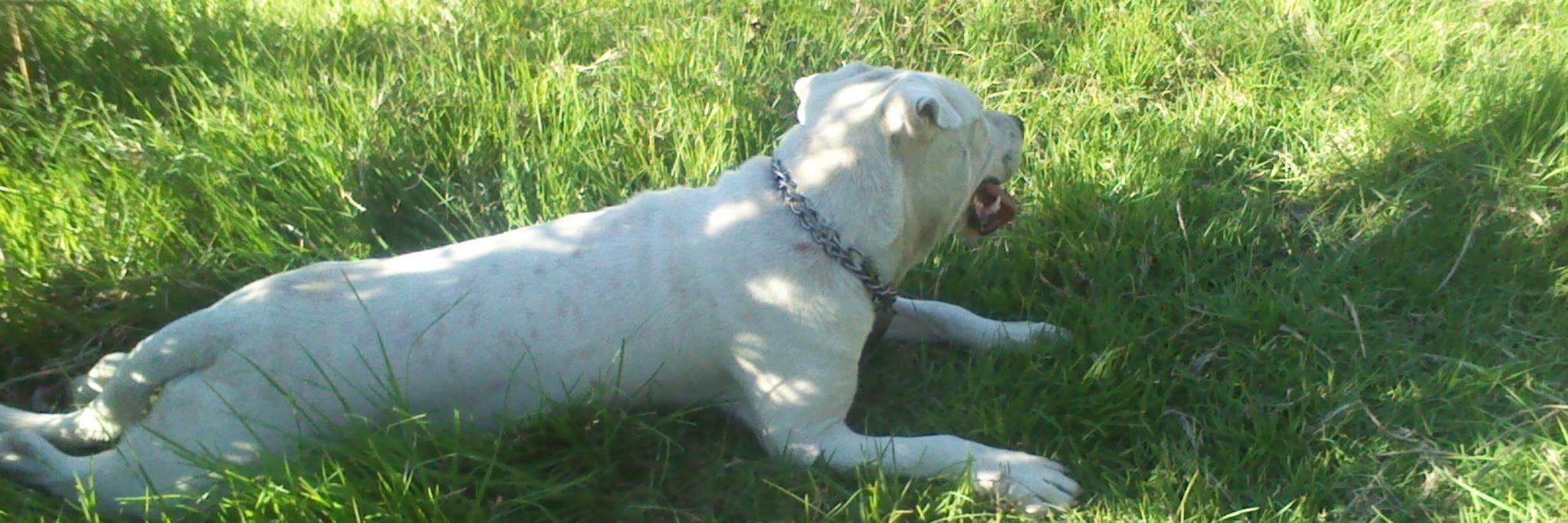 gatelba's profile banner image