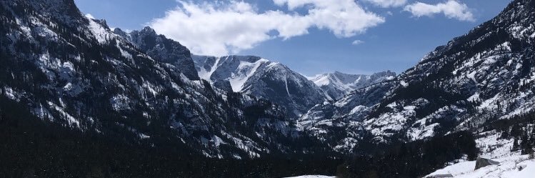 heidizzle96's profile banner image