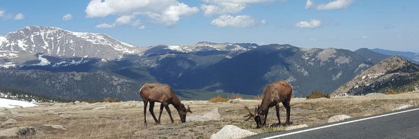 themrwolfeman Profile Banner