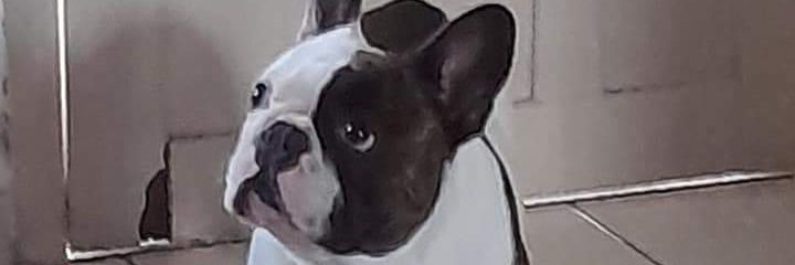mottarafa's profile banner image