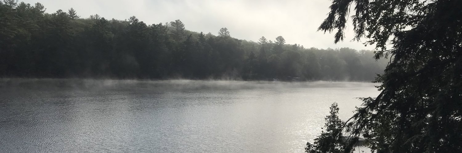 d_foulon's profile banner image