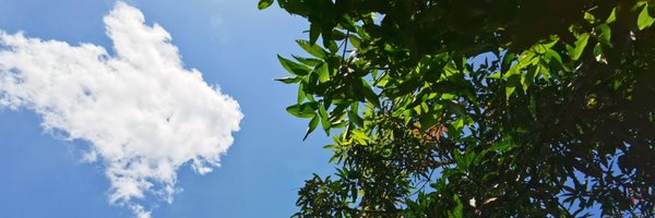 pengujul Profile Banner