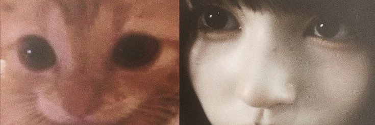 asdawsadw's profile banner image