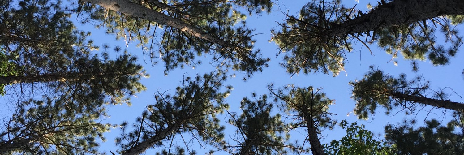 danipautrat5's profile banner image