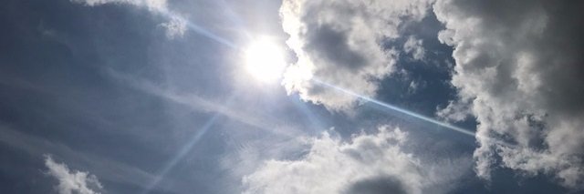 Melanie Swanson banner