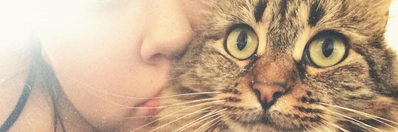 _noloveshelllly's profile banner image