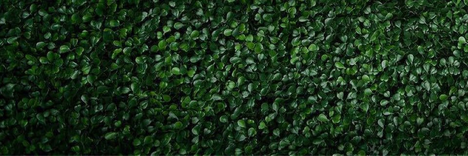 Warren Keller banner