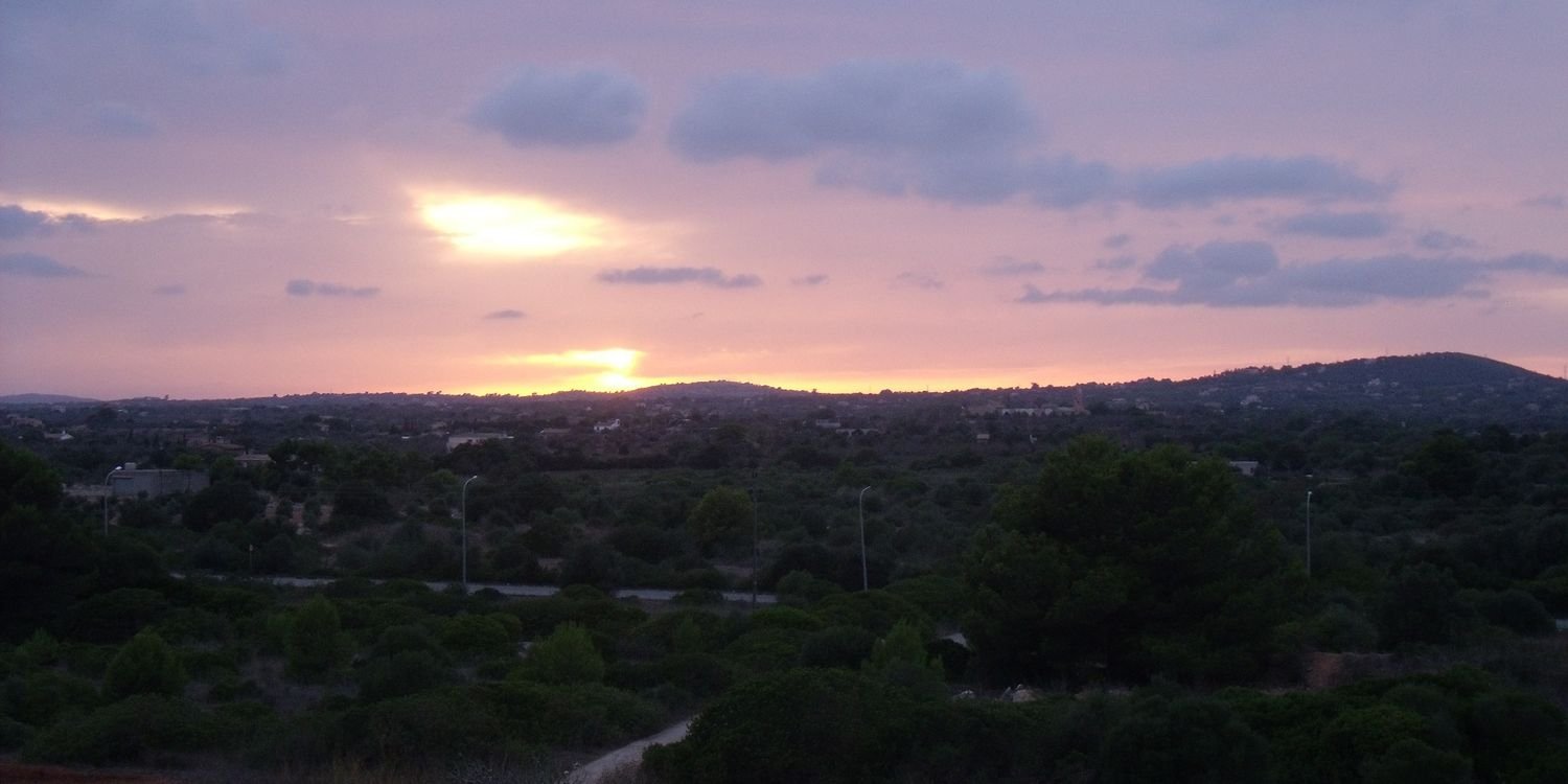 dallasav's profile banner image