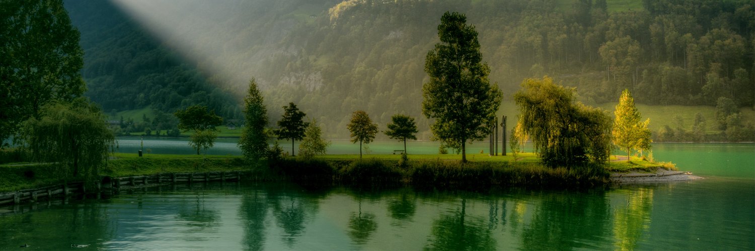 LAPASIONVERDE's profile banner image