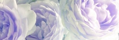 lguthridge's profile banner image