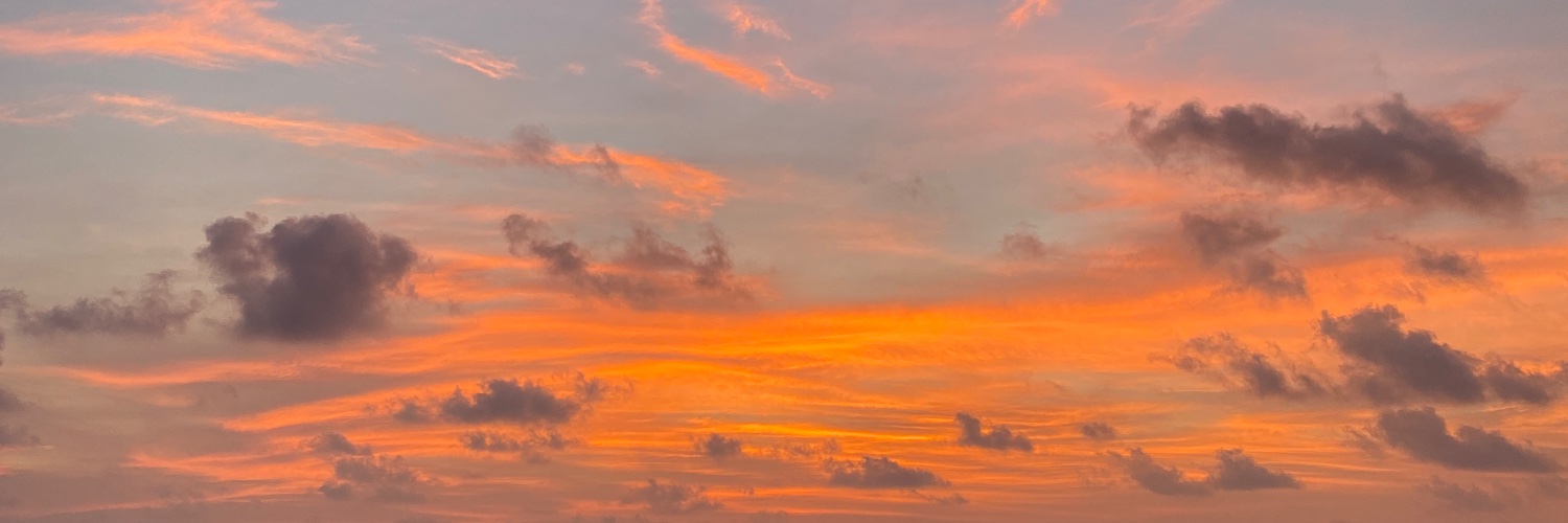 HeiselAlfaro_'s profile banner image