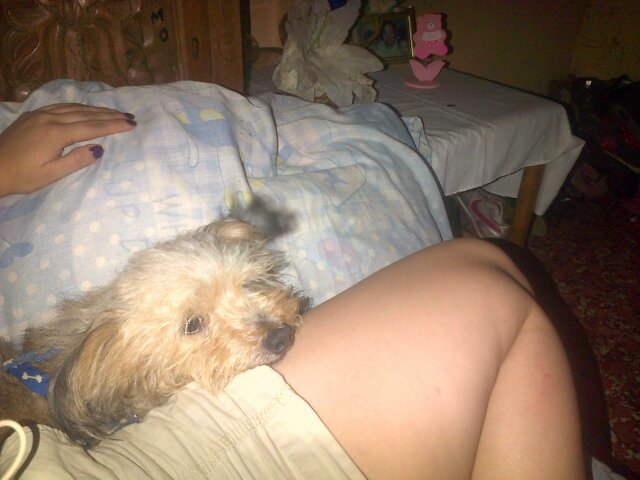 Fàtima Calderòn banner