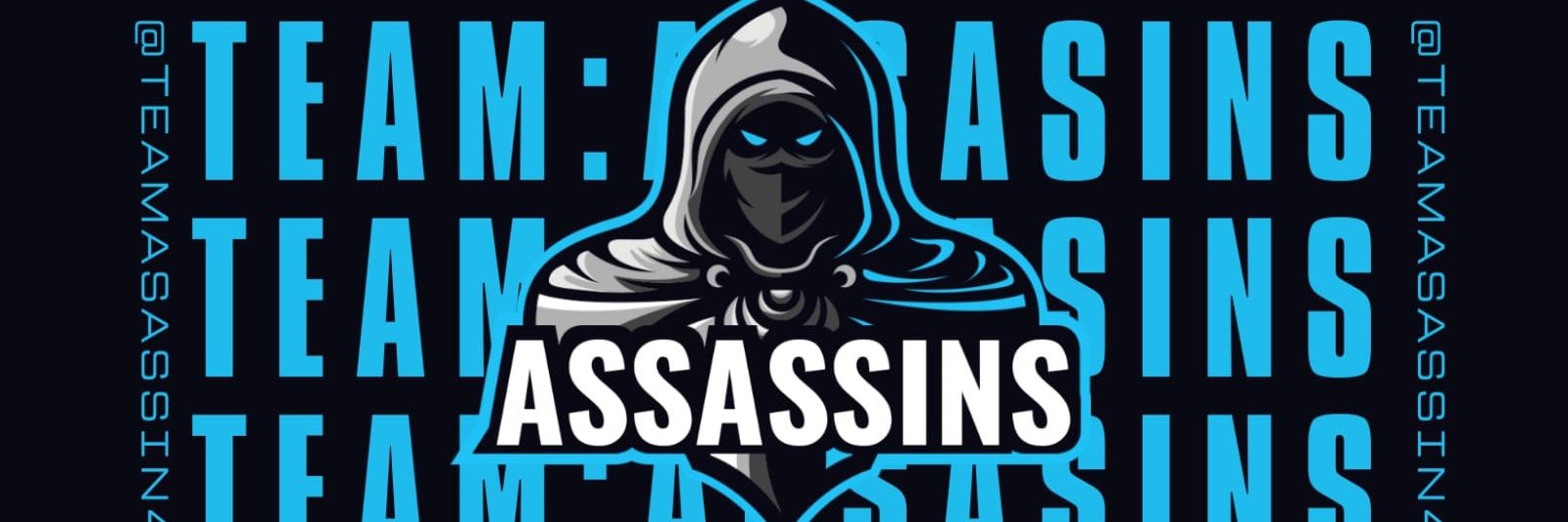 Assasins 🇸🇻 banner