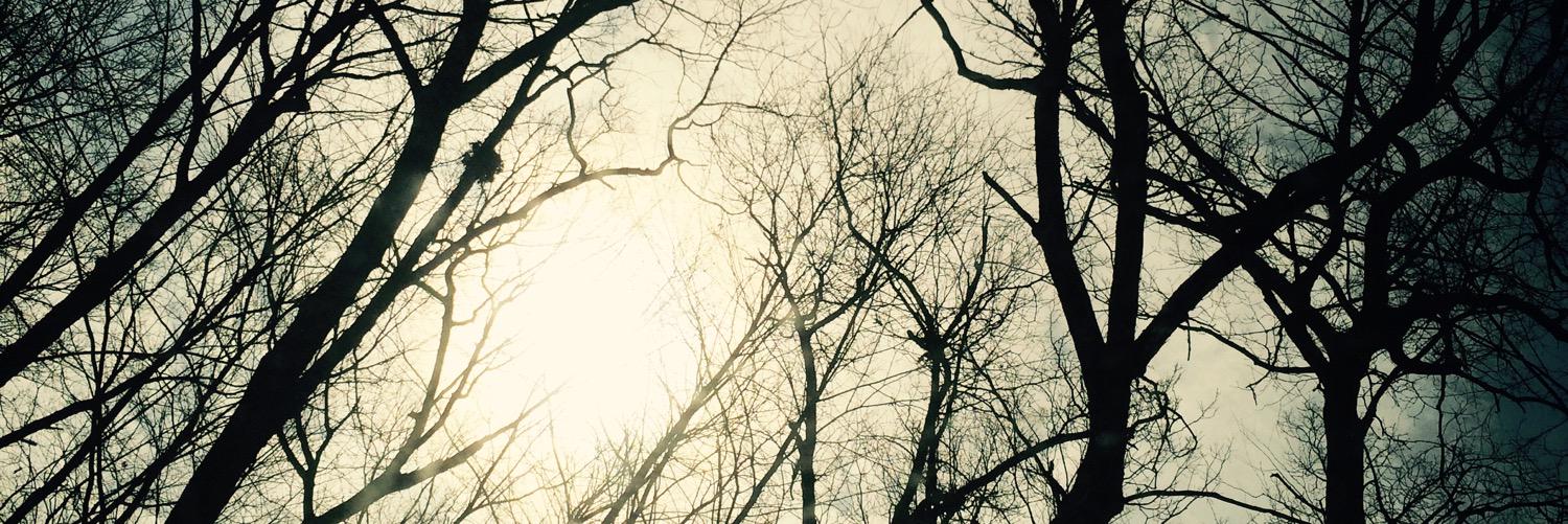 Kimmlle's profile banner image