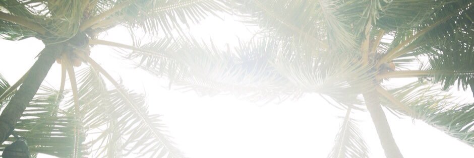 bbiddulda's profile banner image