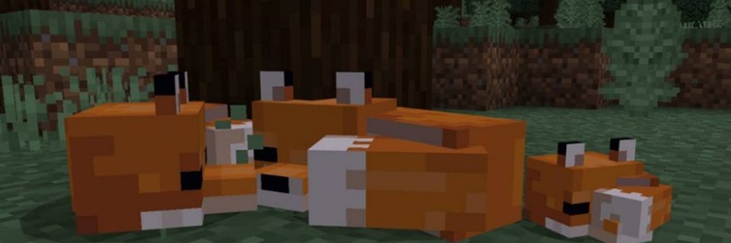 TheNerdyFox's banner