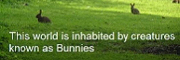 gum's banner