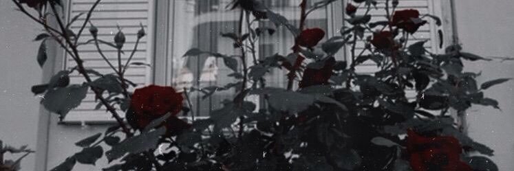 Yu 🥀 | R3 GO banner