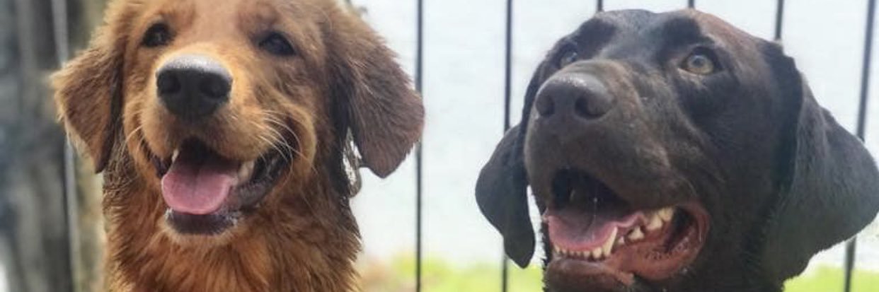 EmilyBess13's profile banner image