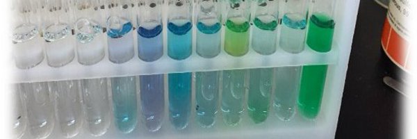 ZhixingChen2 Profile Banner