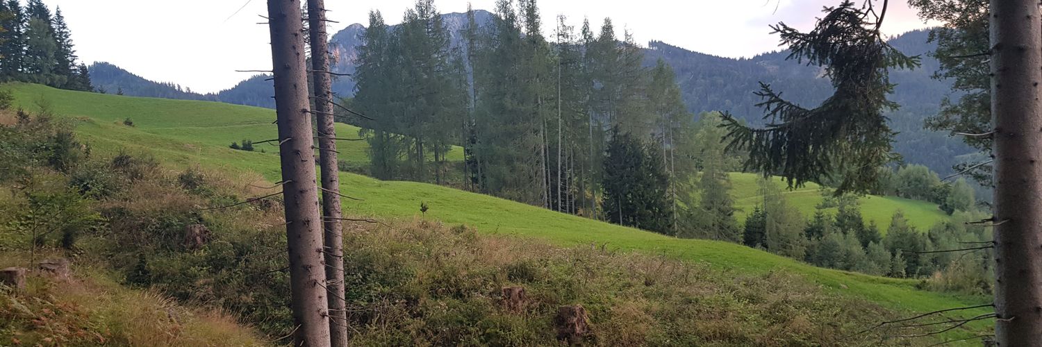 Marko Smrtnik 🌿🌍🗽⛪🇦🇹🌄🇸🇮🇪🇺 banner