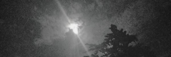 TM9937491831 Profile Banner