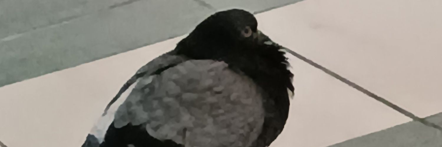 Alchemy_RAT's profile banner image