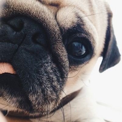 Mei369's profile banner image